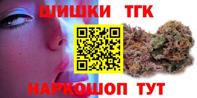 крисы Гагарин