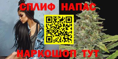 соль ск Гатчина