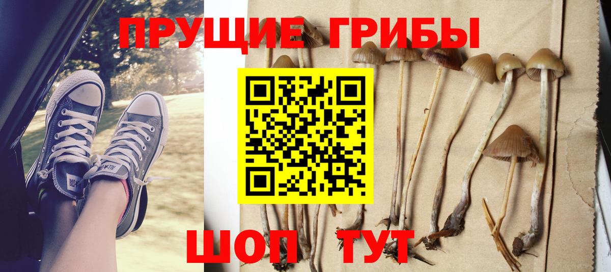 Псилоцибиновые грибы мухоморы Дмитров